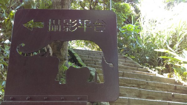【臺北大縱走6】象山南港山縱走九五峰虎山942825