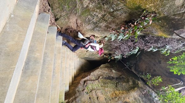 圓通寺烘爐地登山步道大O走3007063