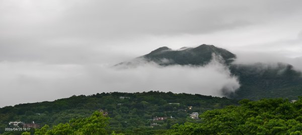 #文化大學 #雲海 #琉璃光 #陽明山秘境 4/253042464