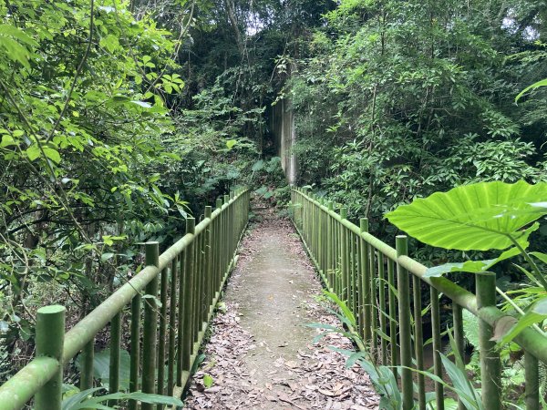 南埔村觀音步道+挑水壢古道2550268