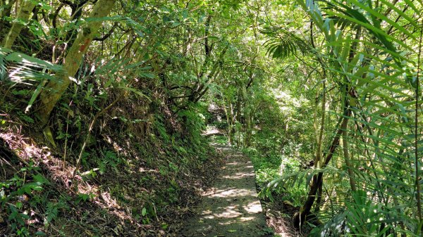 拳山古道,土地公嶺古道,中埔山古道,文山森林公園2578157