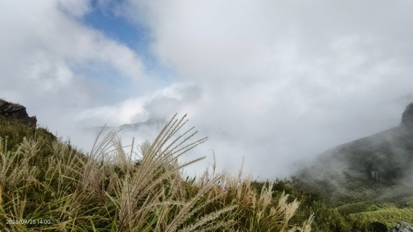 快閃 #小觀音山西峰 9/253122746