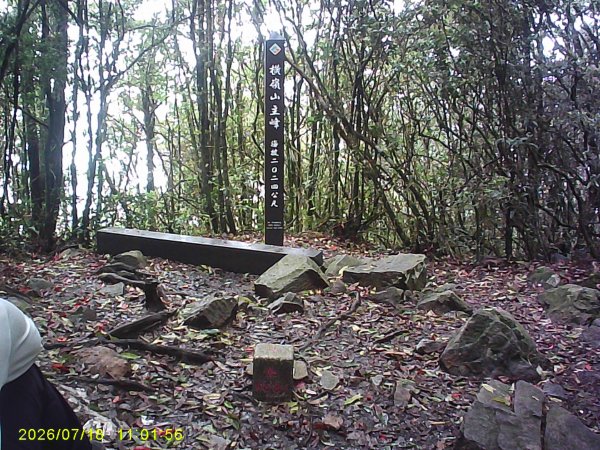 大雪山林道橫嶺山步道、橫嶺山、沙蓮山、笛吹山O繞3090399