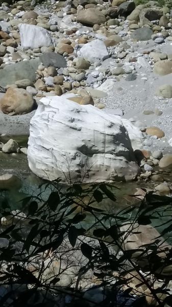 砂卡噹+白楊步道一日健走335306