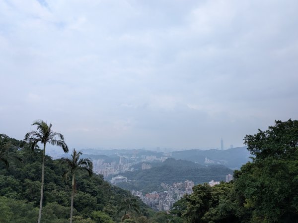 2025-06-08 臺北大縱走第六、七段2814225