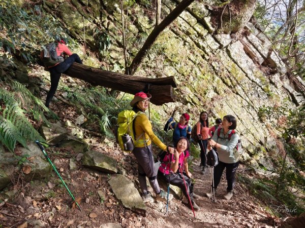 【谷關七雄】波津加(H1771.6m)肉腳配速成功2670613