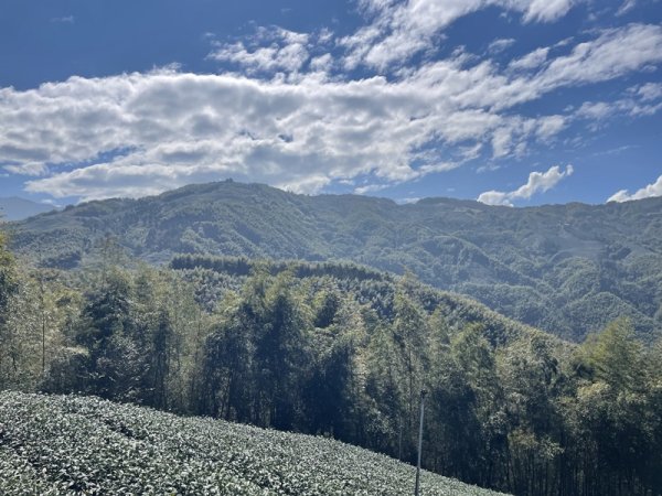 鹿谷小半天七連峰2992093