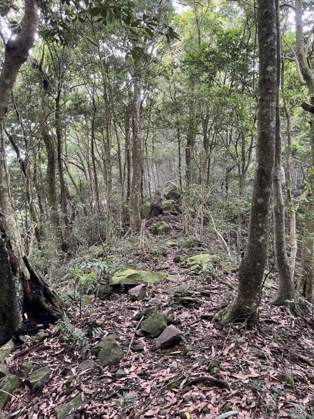 東河線上鵝公髻山，至鳥嘴山後下大窩山部落 2024.8.182577497