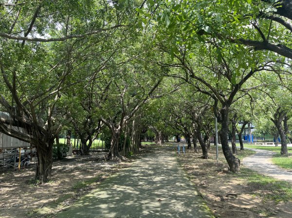 [全臺走路趣尋寶-32/100] 2024_0728_嘉義市港坪運動公園2560586