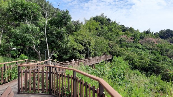 《台中》滿月望月｜霧峰望月峰獻堂登山步道環中心瓏步道及萊園202210101872983