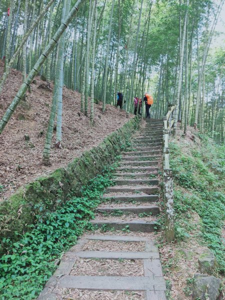 嘉南雲峰、石壁山登山步道1304054