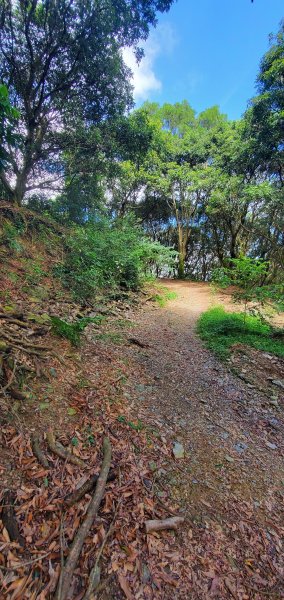 2023-10-09尾寮山登山步道2309531