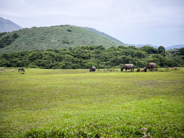 2025-05-03 磺嘴山、翠翠谷2781691
