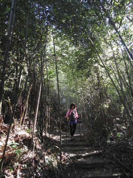 20181208 馬拉邦山賞楓+細道邦山478792