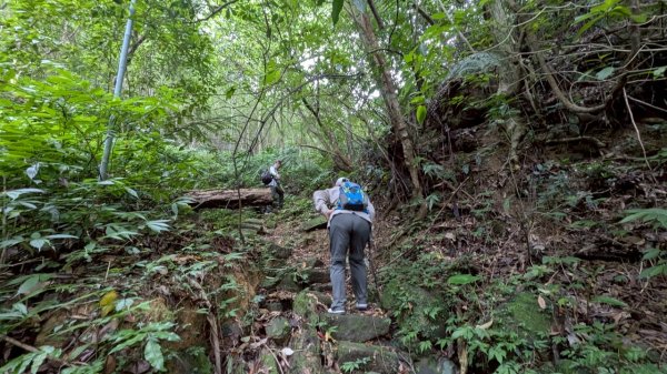 114.06.01溪山百年古圳-太平尾山+聖人崙之旅2801872