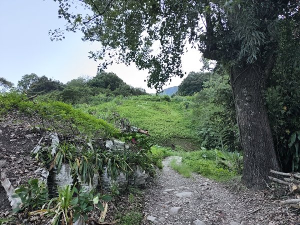 [玉山尋寶任務-07/12] 2025_0824 八通關雲龍瀑布步道2870452