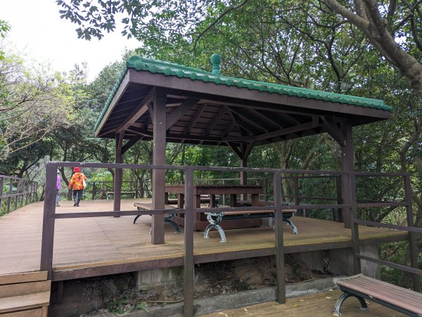 2024-01-28 福州山公園2793291