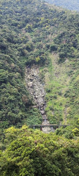花蓮瑞穗．富源國家森林遊樂區景觀步道202602203013178