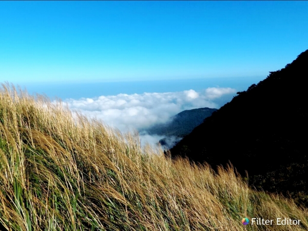 向天山 面天山 大屯山主峰82235