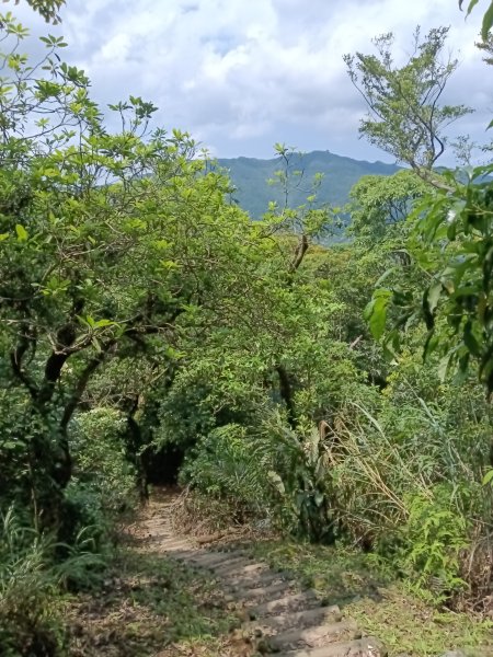 平溪區三功大厝+番子坑山+千階嶺步道O型2781163
