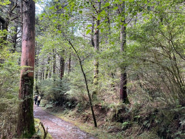 向陽日出，嘉明湖光2866333