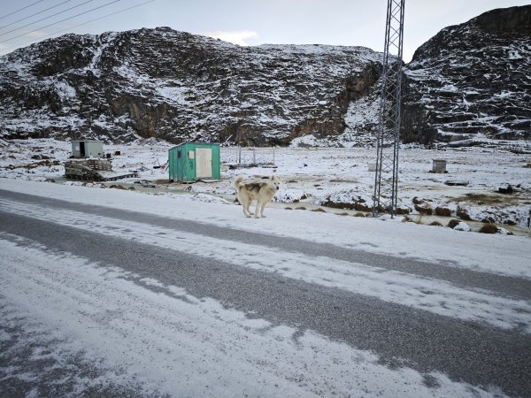 [紐約馬之行-33] 2025_1106 峽灣遊客中心2947940