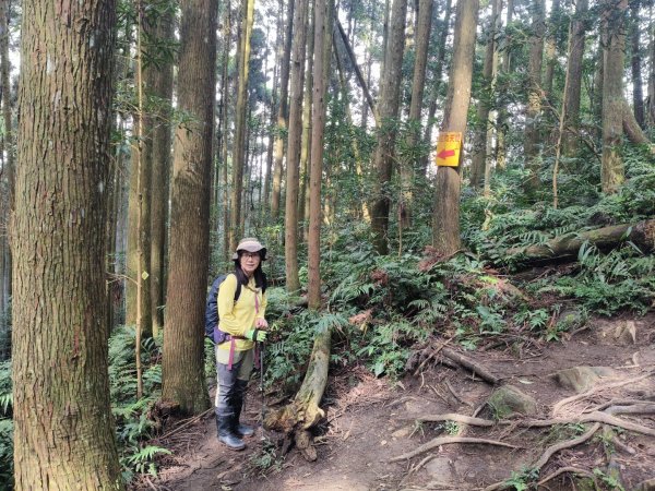 向天湖三山+ 南大龜山3012327