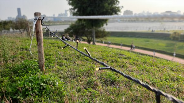 《台中》城市漫遊｜中央公園202203051631069