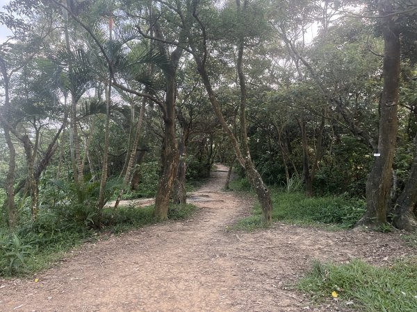 2024_0804 文間山2566406