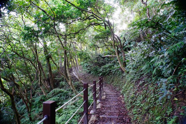 新北 土城 天上山、五城山、文筆山、五尖山、牛埔頭山、大尖山、二尖山、內冷水坑山、石門山、南天母山3134903