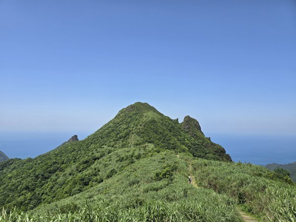 20260426 新北金瓜石半屏山無耳茶壺山3050521