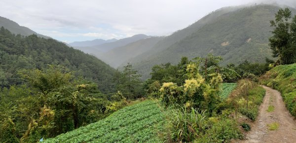 南胡群峰之旅694142