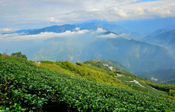 雲嘉大尖山、二尖山步道--(雲林)臺灣百大必訪步道2955771