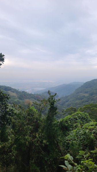 2026-0116 大屯三山_貴子坑_北投2984775