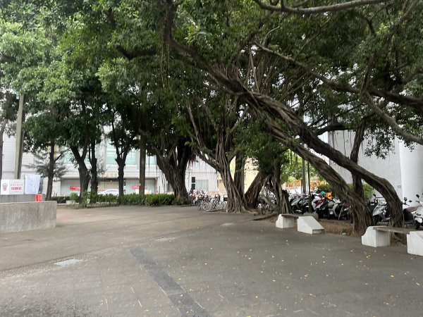 [全臺走路趣尋寶-25/100] 2024_0706_南瀛綠都心公園2546372