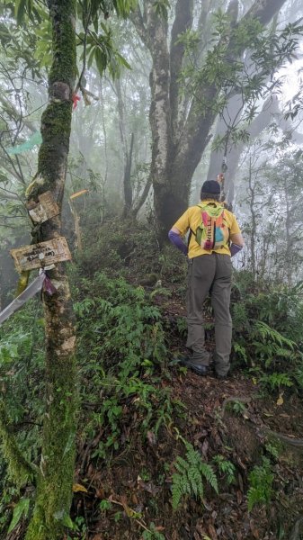 113.06.01魯壁山-東穗山之旅2529900