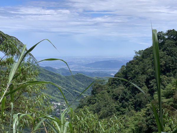 20250614南投南鳳凰山2813261