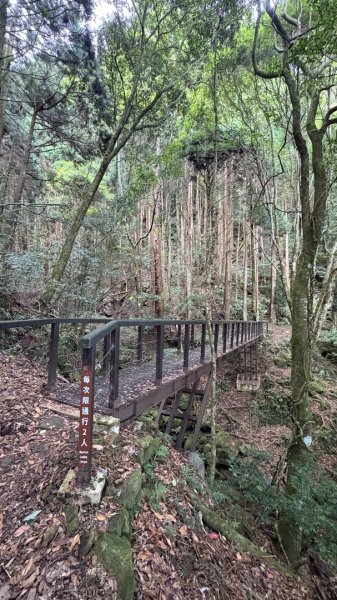 悠遊林鐵遺跡2878128