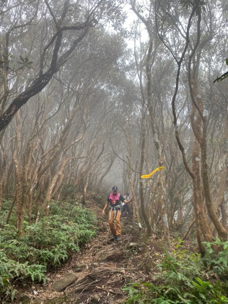 日月潭最高峰:水社大山 隊名:鯛魚燒埔里訓練1506240