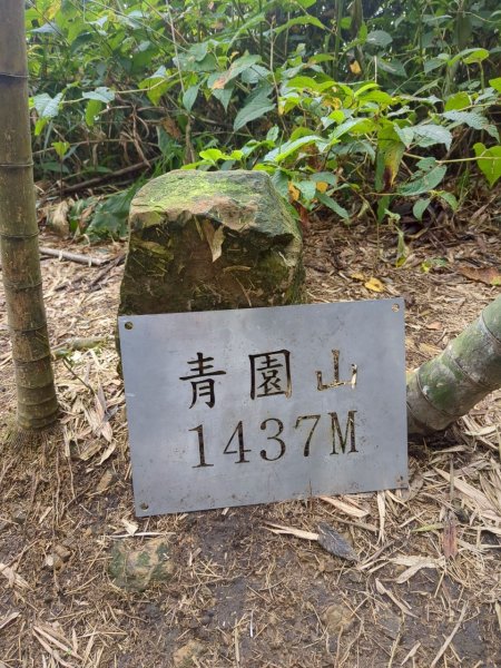 四大天王山縱走獨立山(雙溪路線)2754467