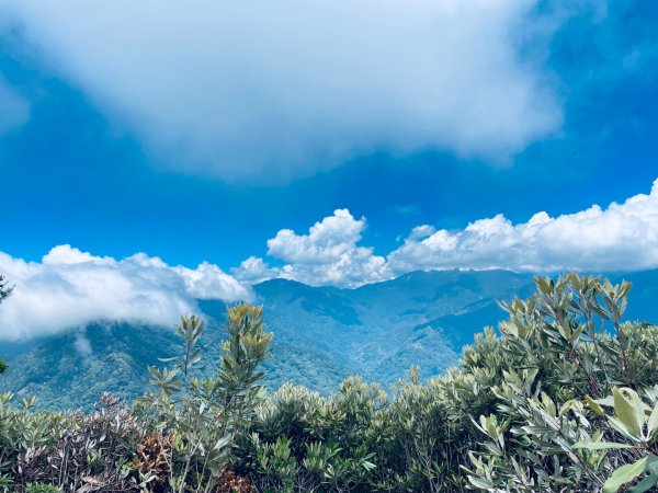 20260531觀霧榛山登山步道（榛山北峰+主峰+環形步道）3071483