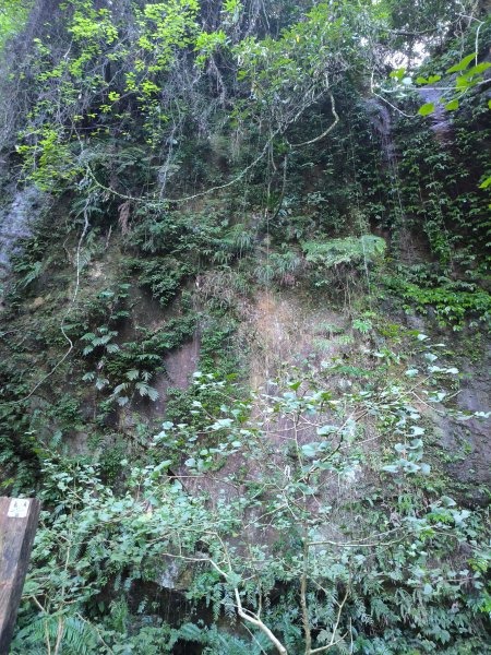 20250928微笑山線：【二格山系】銀河洞越嶺段2896182