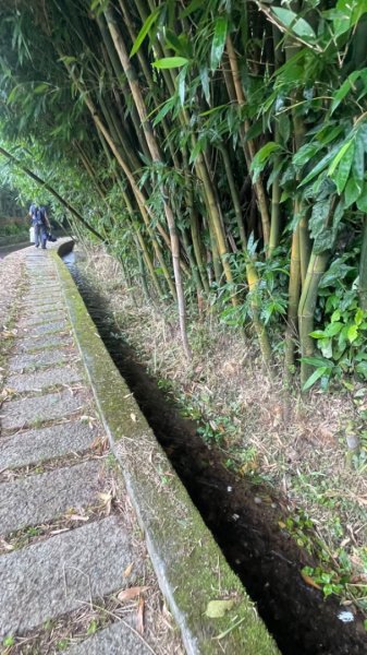 尋訪四國八十八番 石佛（藥師釋迦如來）觀音山石佛-弘法大師-水濂洞山-林安泰古宅2814366
