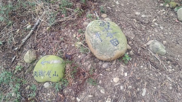 內樹尾、田中**山2708955