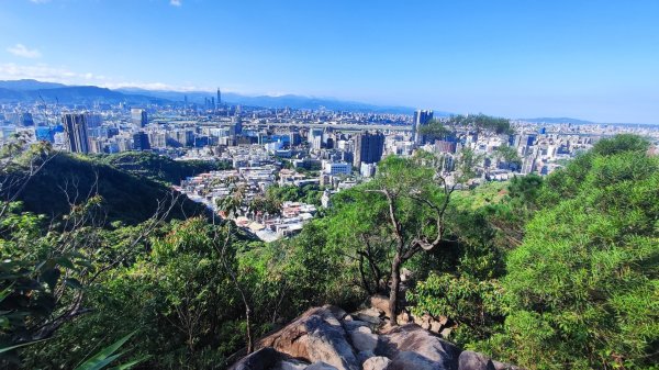 西湖捷運站-金面山-大崙頭山-圓覺-大湖公園捷運站2588696