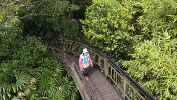 (姨婆趴趴走)第五十五集:攀登健走台北大崙頭尾山親山步道環狀一圈2853730