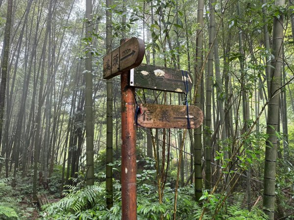 陡上陡下的溪頭鳳凰山1872929