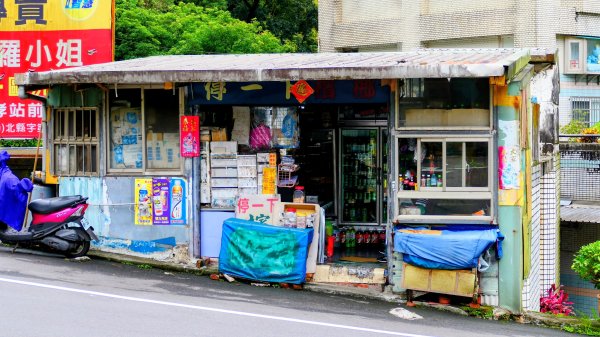 寶島波眼蝶3074070