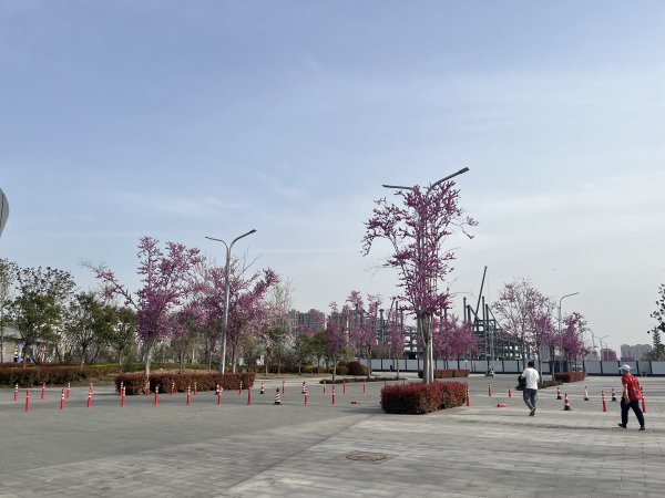 2024_0331 鄧州之光(岳父故鄉及習主席祖居)健行2479843