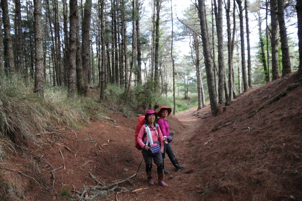 2018/5/21百岳南湖群峰(D4)─雲稜山莊→木杆營地→勝光山→勝光登山口